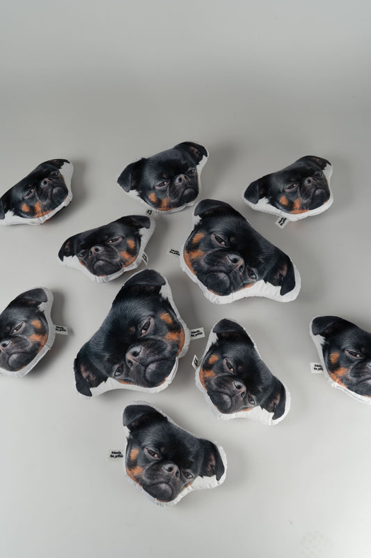 Charlie Griffon Head-Shaped Pillow