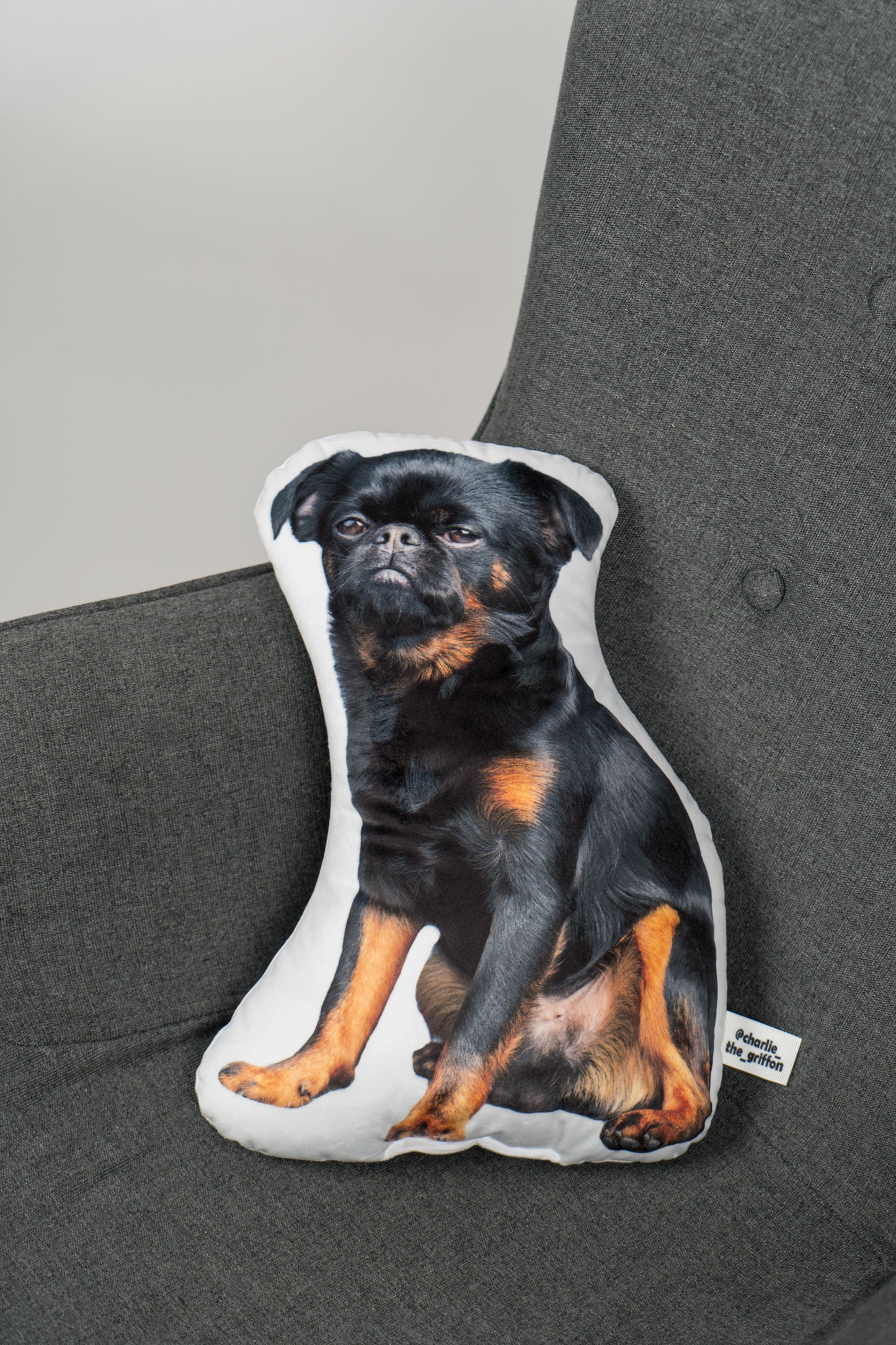 Charlie Griffon Dog-Shaped Pillow