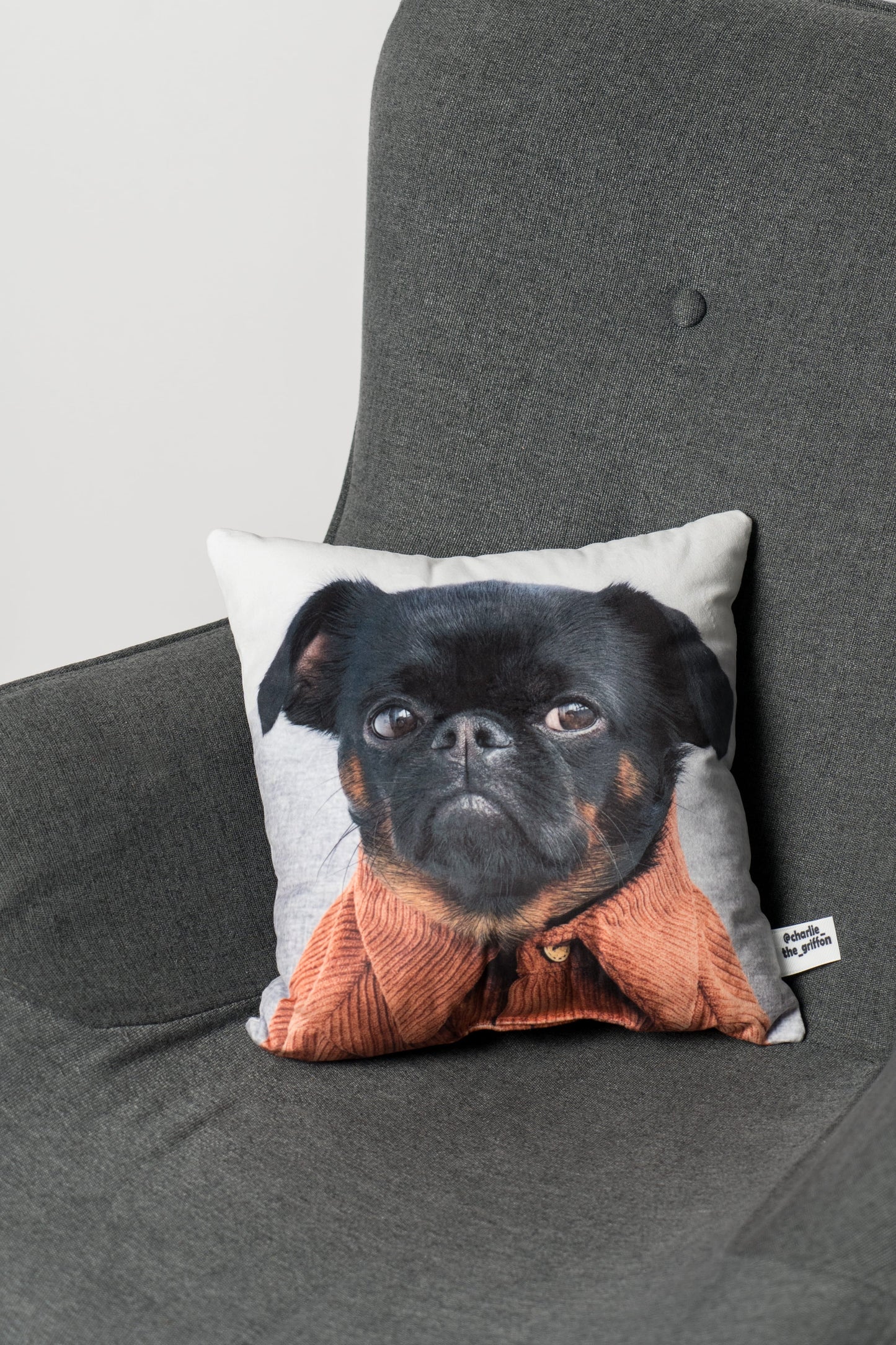 Charlie Griffon Double-Sided Square Pillow
