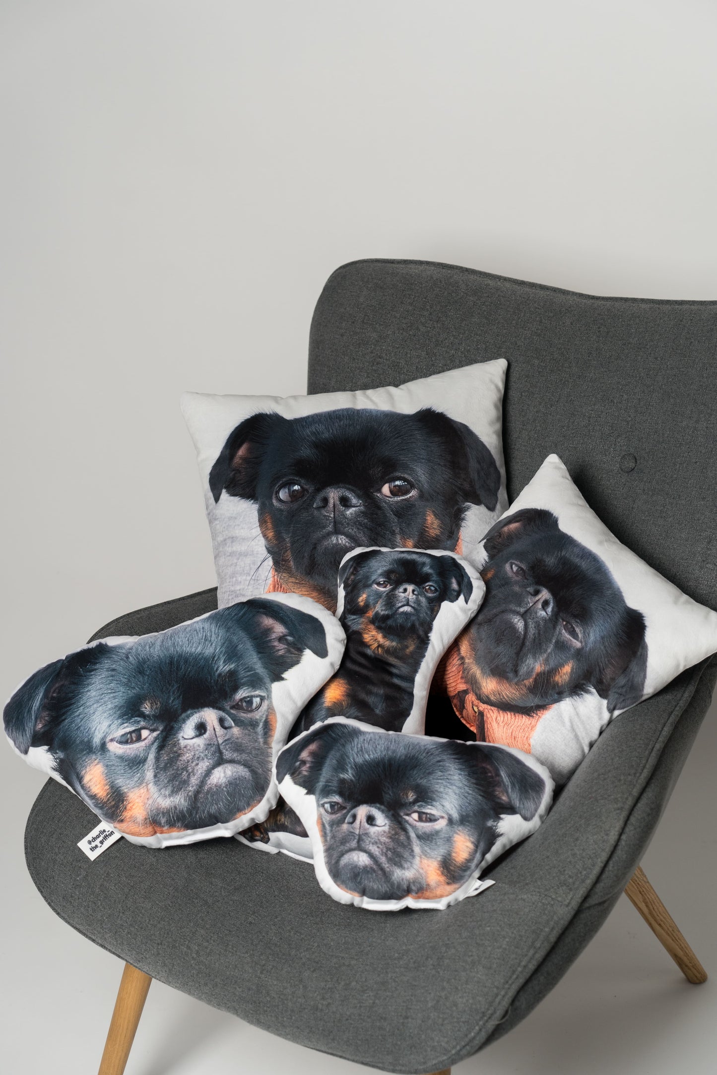 Charlie Griffon Double-Sided Square Pillow