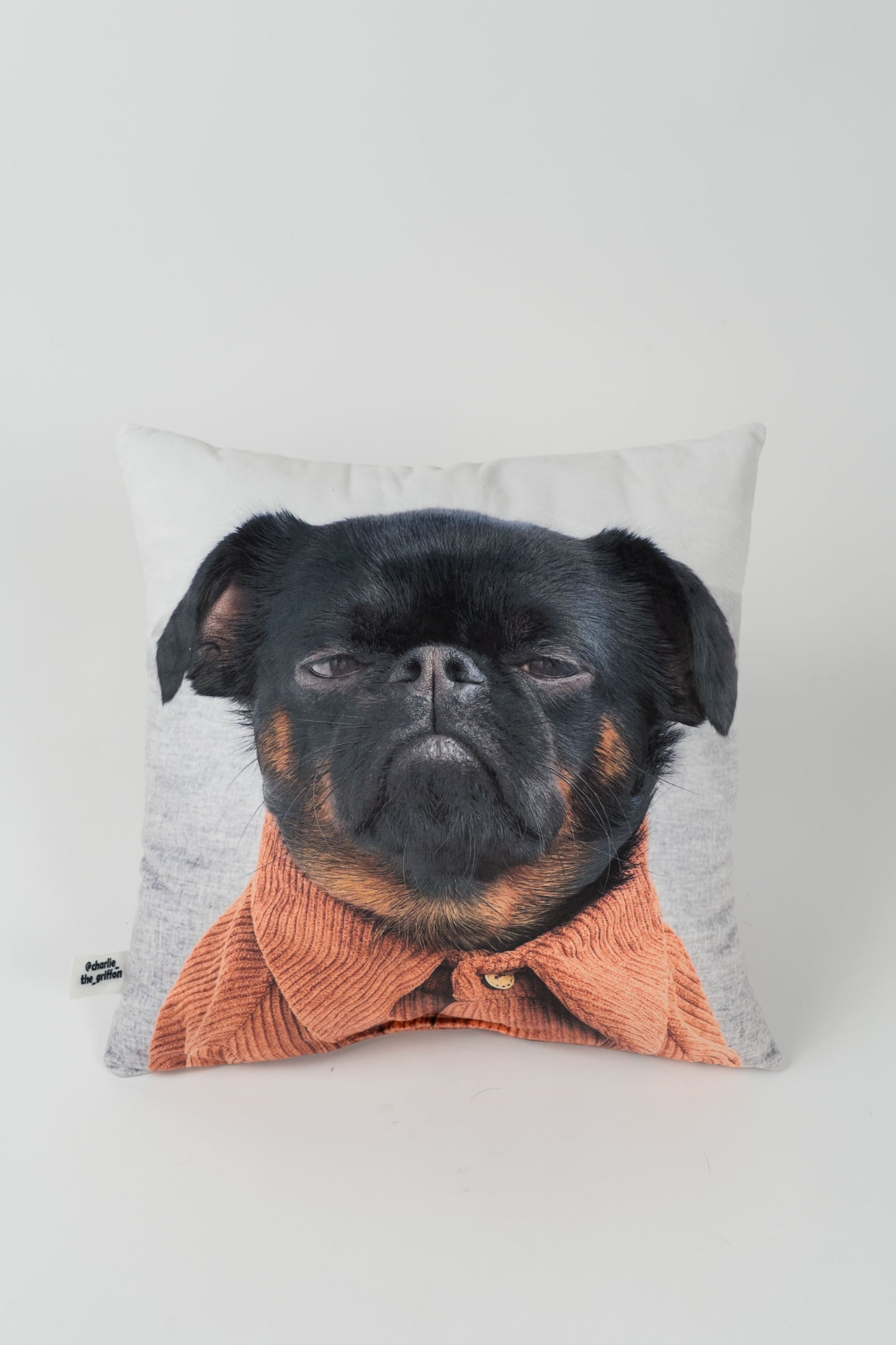 Charlie Griffon Double-Sided Square Pillow