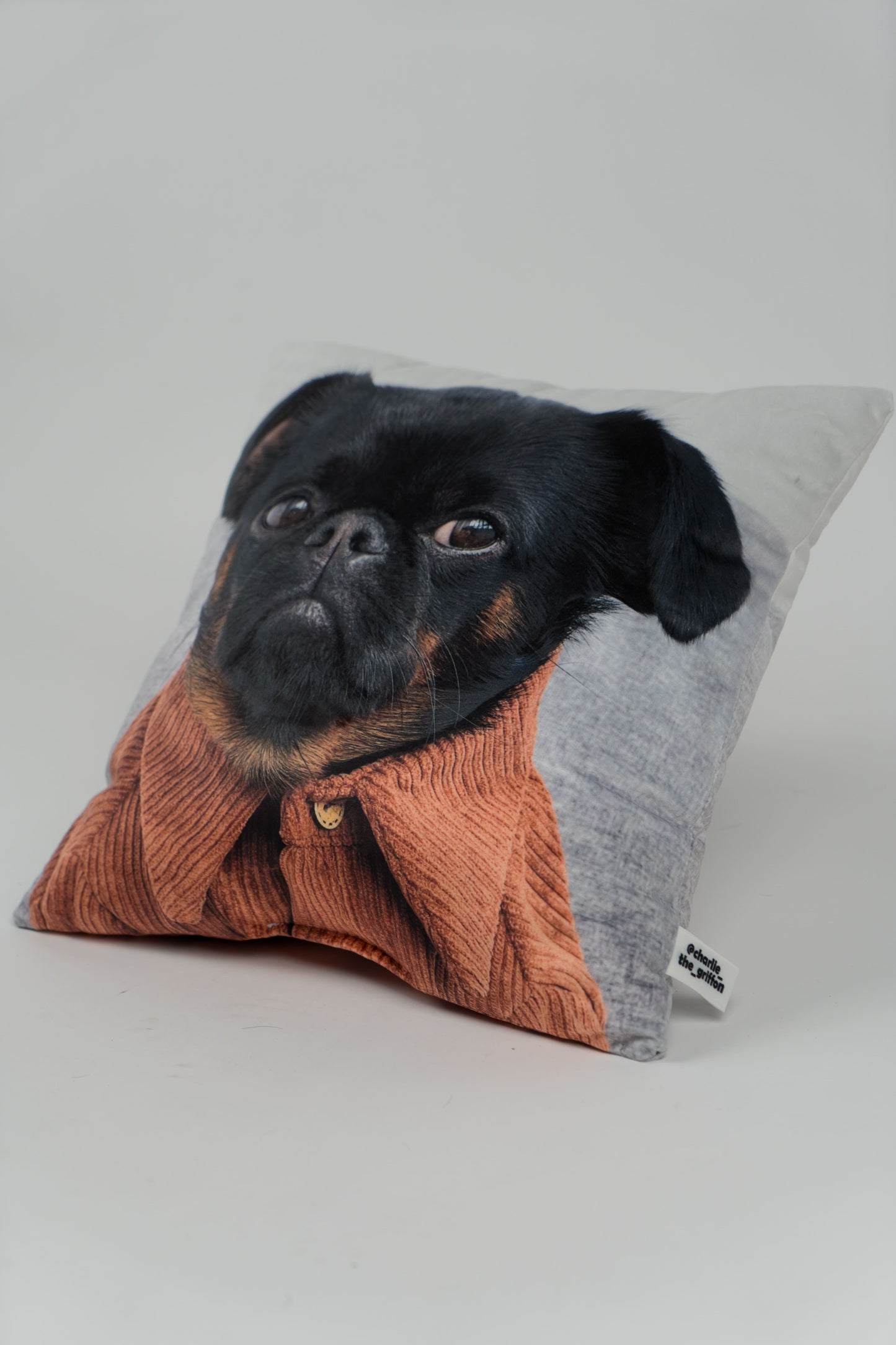 Charlie Griffon Double-Sided Square Pillow