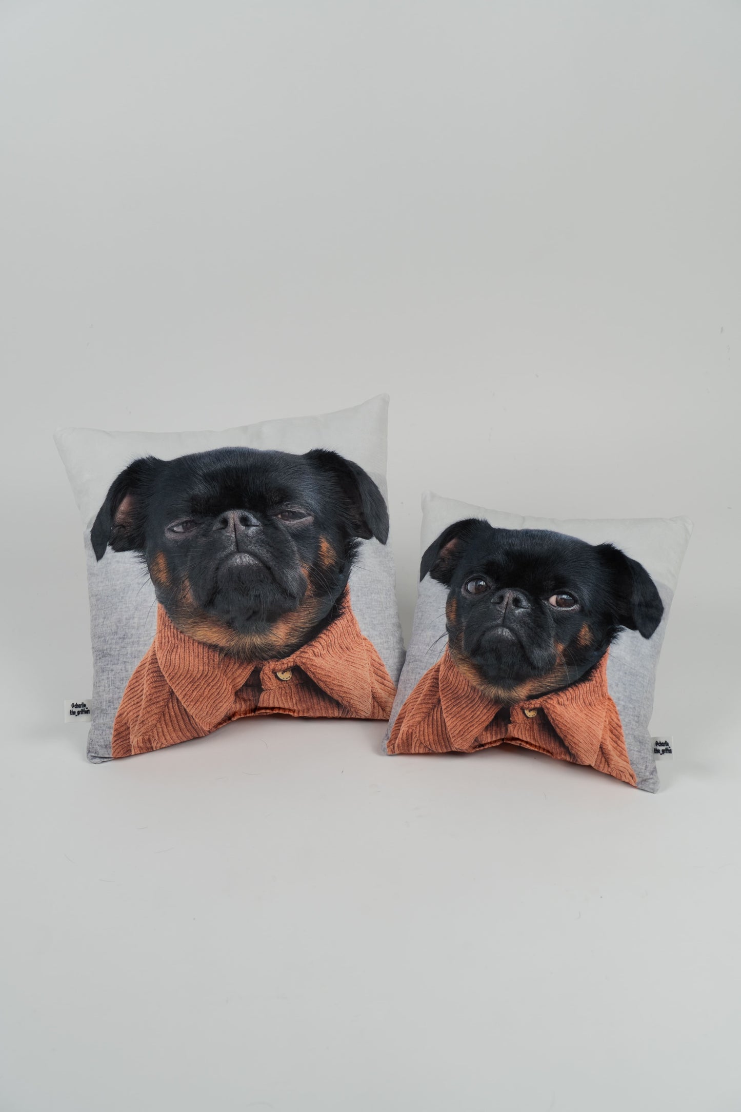 Charlie Griffon Double-Sided Square Pillow