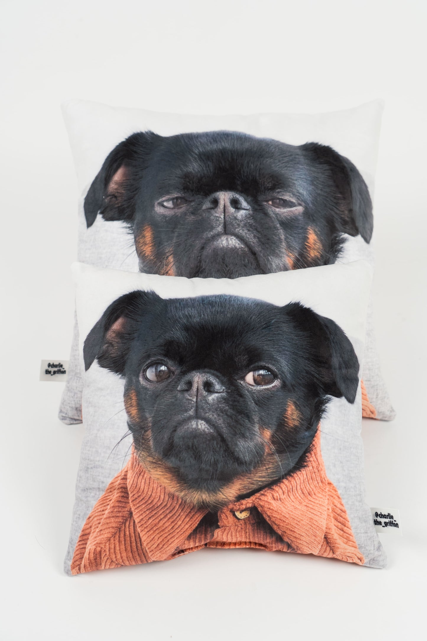 Charlie Griffon Double-Sided Square Pillow