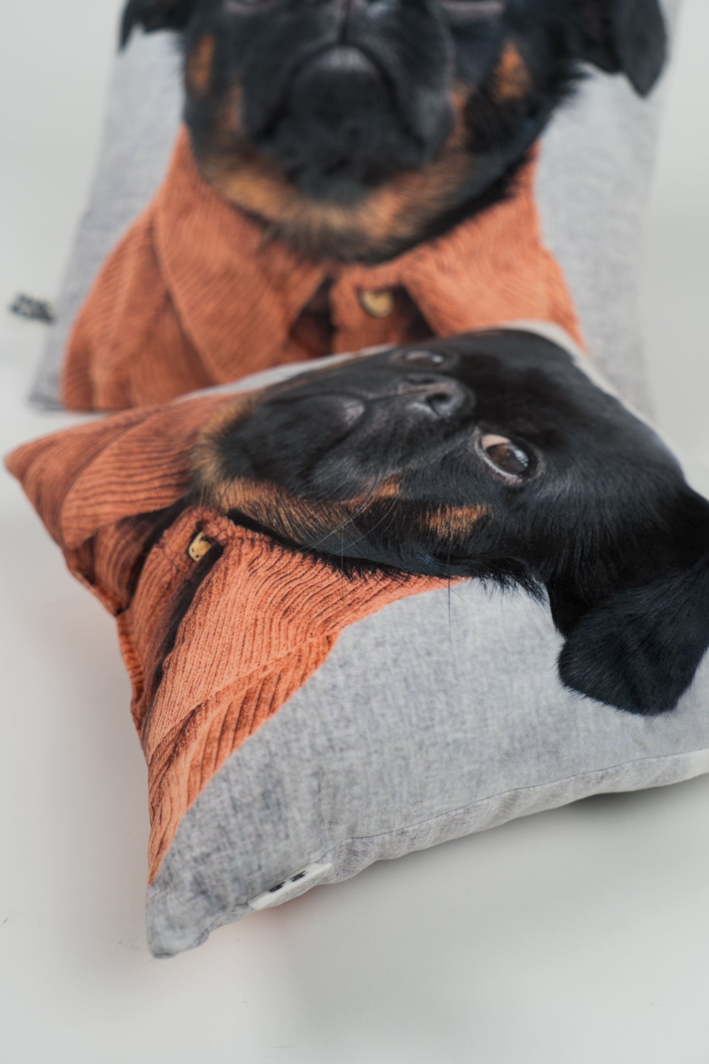 Charlie Griffon Double-Sided Square Pillow