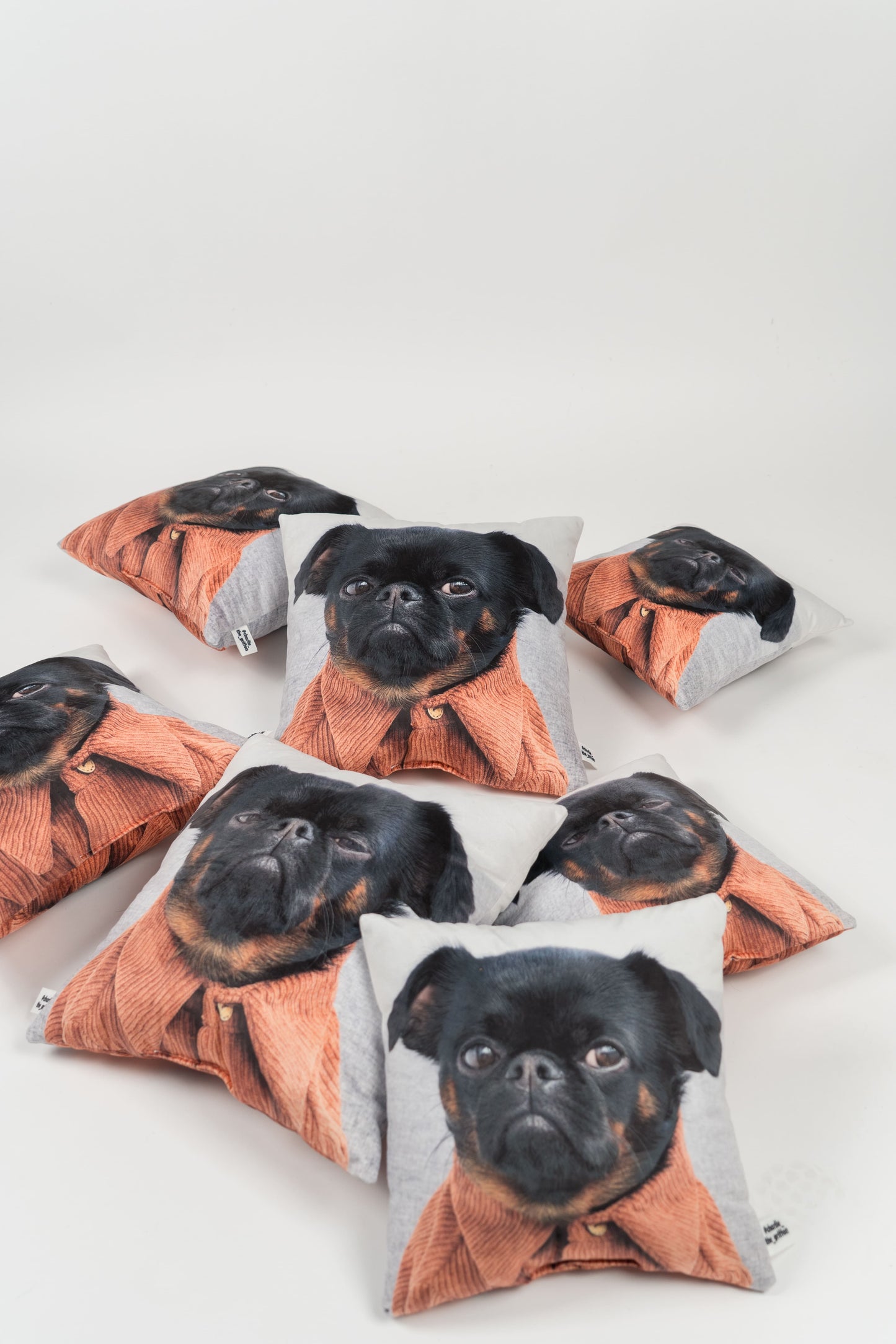 Charlie Griffon Double-Sided Square Pillow