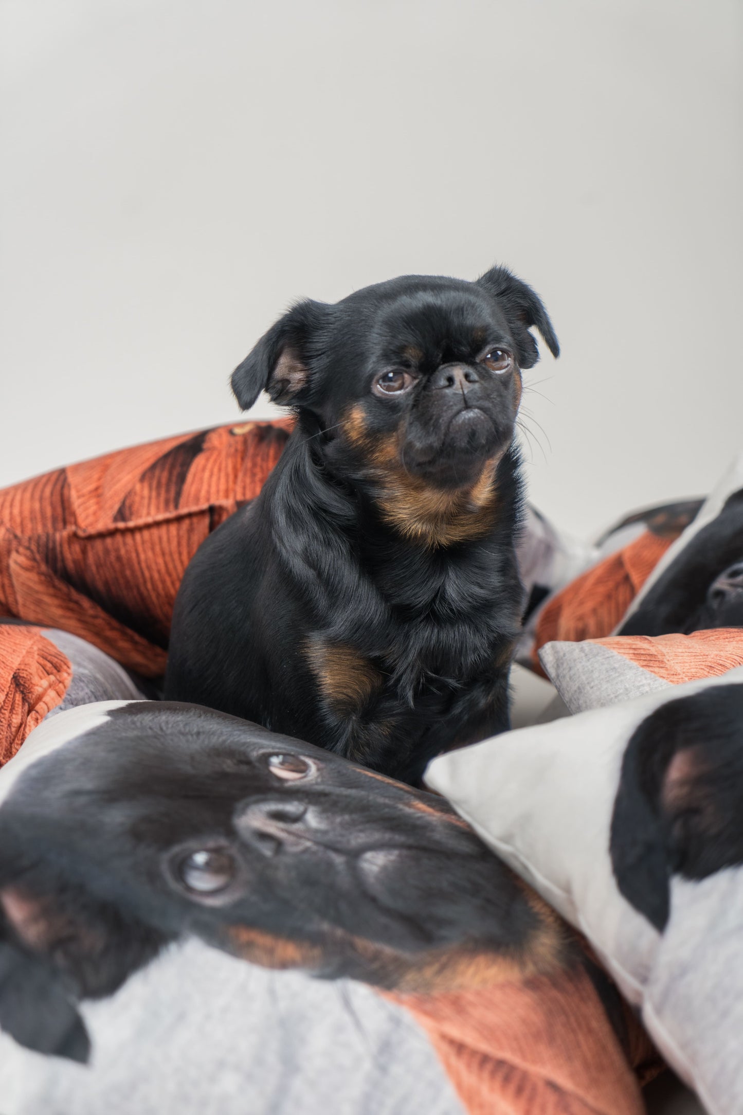 Charlie Griffon Double-Sided Square Pillow